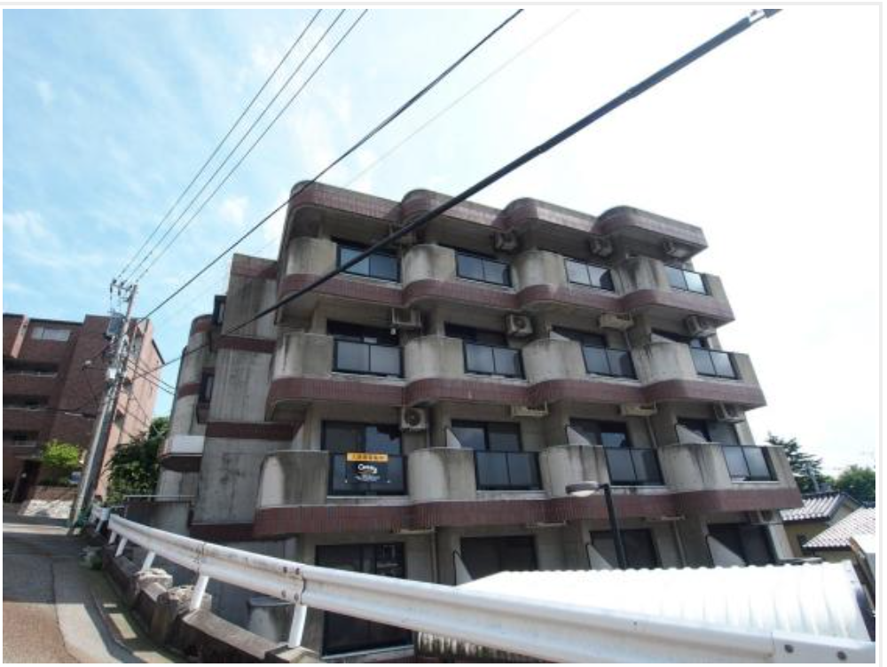 の画像(3枚目)です